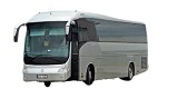 IRISBUS DOMINO Autodalys