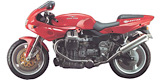 MOTO GUZZI DAYTONA Autodalys